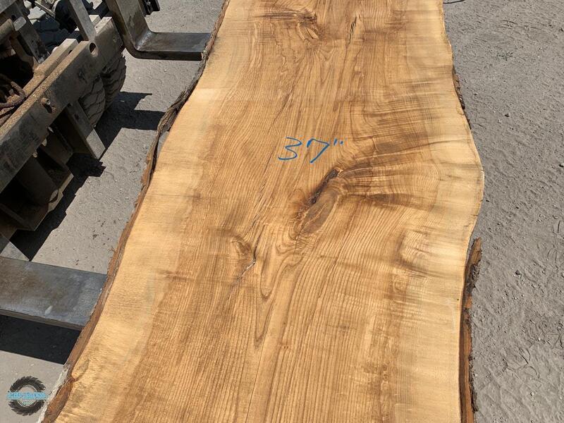 Ash wood là gỗ gì? Đặc điểm và ưu nhược điểm gỗ Ash